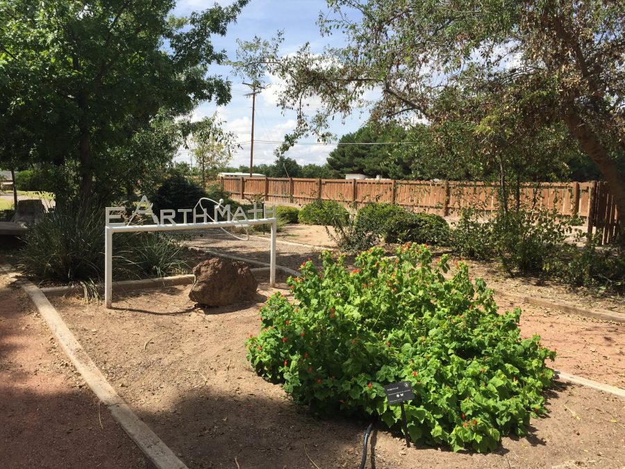 Landscape Gardens in Las Cruces, New Mexico is Owned by NMSU | Brain