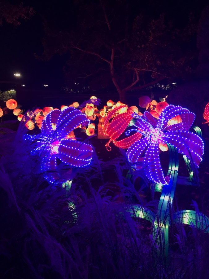 Review Why the Chinese Lantern Festival in Albuquerque New Mexico is
